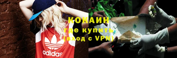 твердый Алексеевка