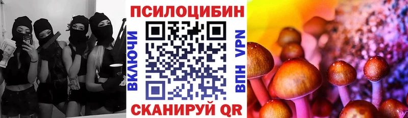 купить   Новочеркасск  Псилоцибиновые грибы Psilocybine cubensis 