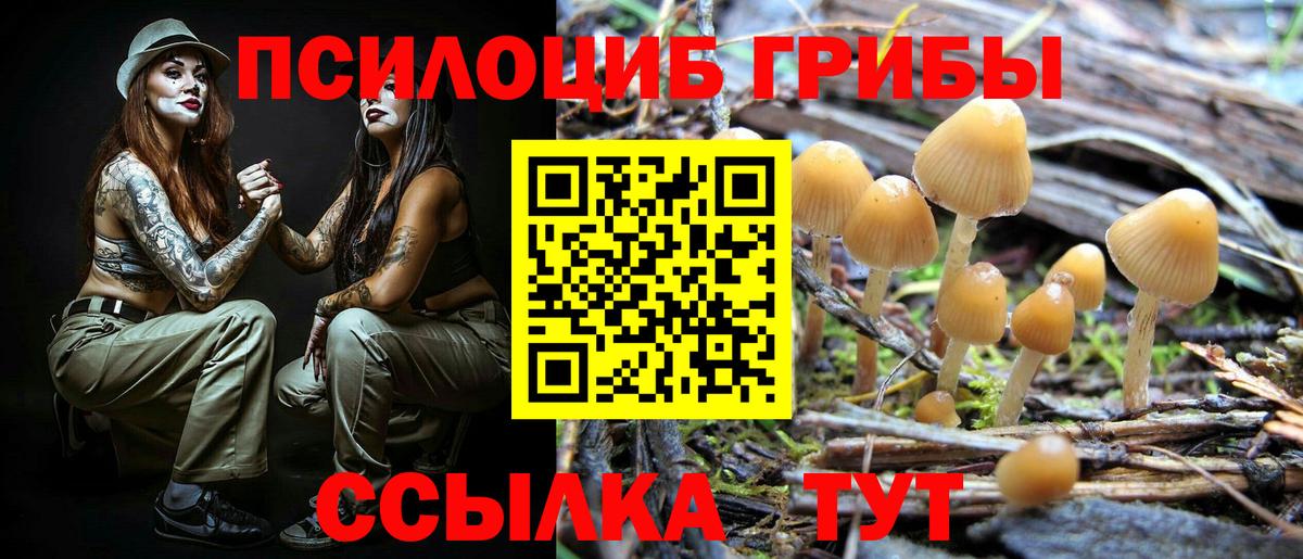 Галлюциногенные грибы прущие грибы Новочеркасск