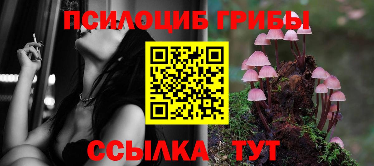 хочу   Псилоцибиновые грибы мицелий  Вход с VPN  Новочеркасск 